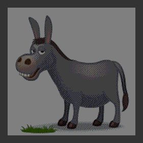 Burro