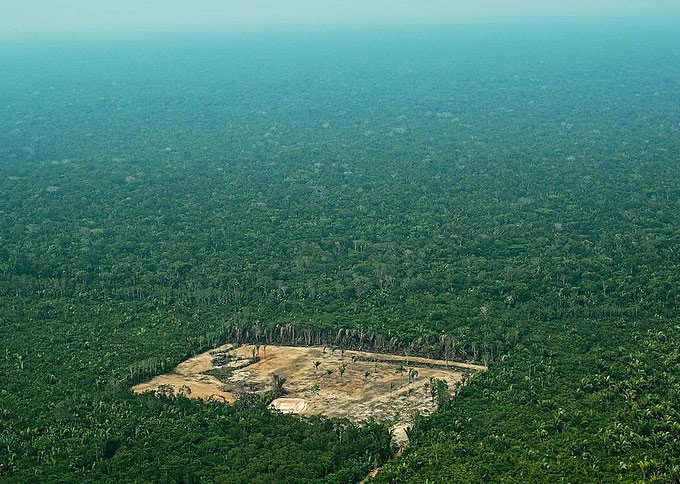 Floresta Amazônica