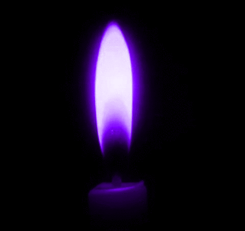 Vela