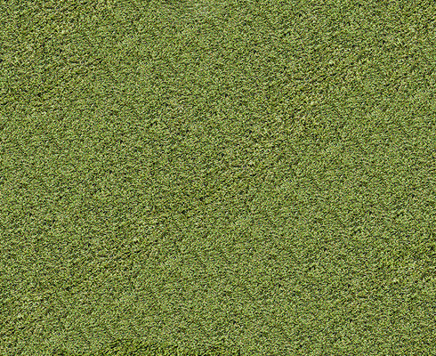 Crop Circle