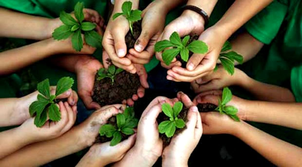 Educação Ambiental