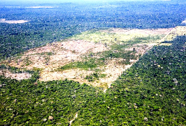 Amazônia
