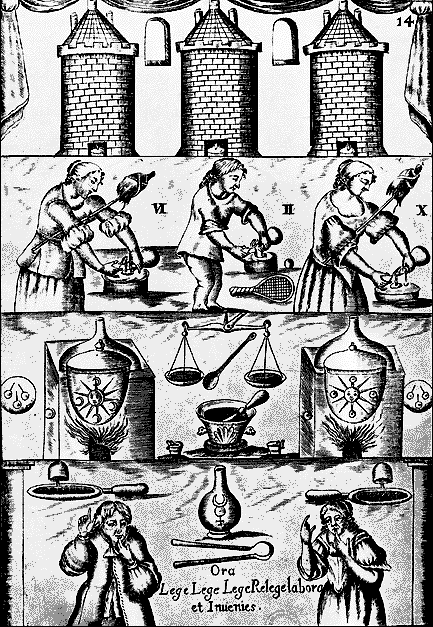Mutus Liber, 14ª prancha