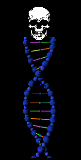 DNA