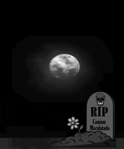 RIP
