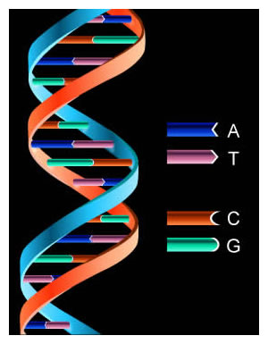 DNA