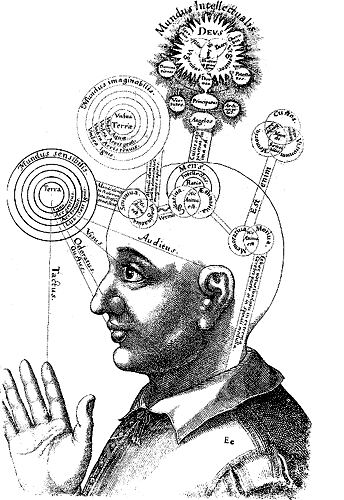 Diagrama da Consciência