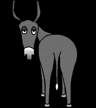 Burro