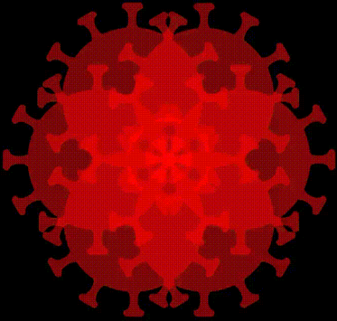 SARS-CoV-2