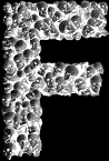 Letra F