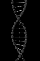 dna