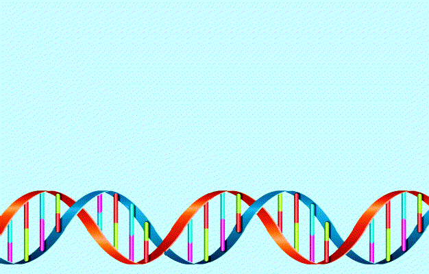DNA