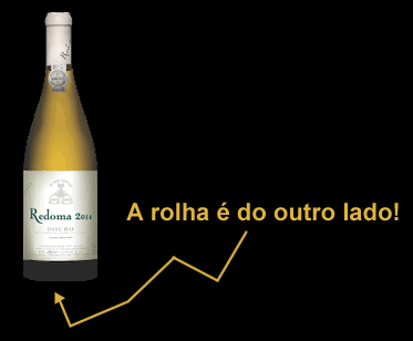 Vinho