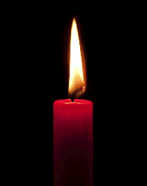 Vela