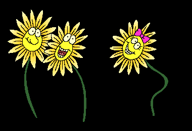 Flores