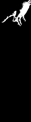 Mão