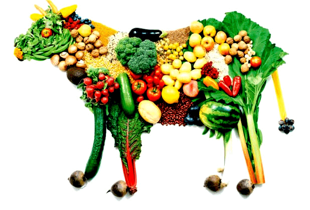 Veganismo
