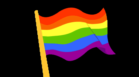 Bandeira Gay