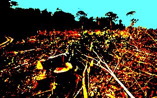 Amazônia