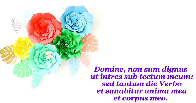 Domine