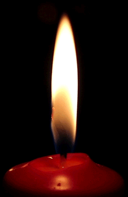 Vela