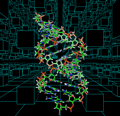 DNA