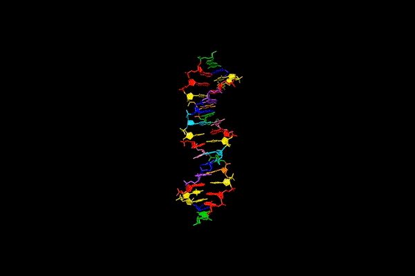 DNA