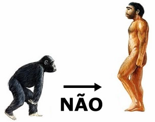 Mono-Homem