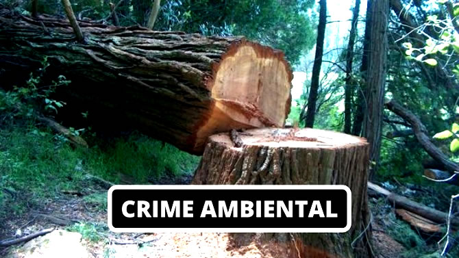 Crime Ambiental