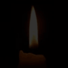 Vela