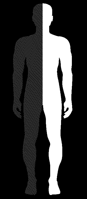 Corpo Físico