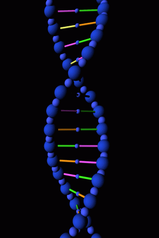 DNA