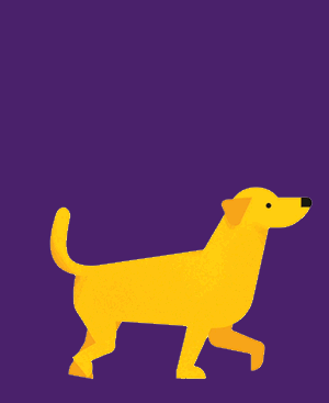 Cachorro
