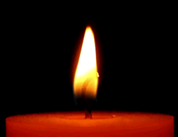 Vela