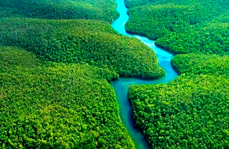 Floresta Amazônica