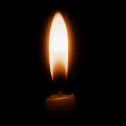 Vela