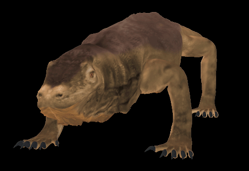 Dragão-de-komodo