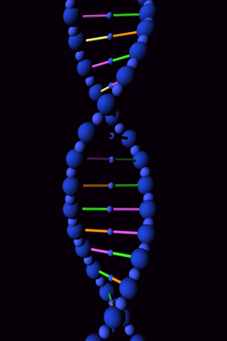 DNA