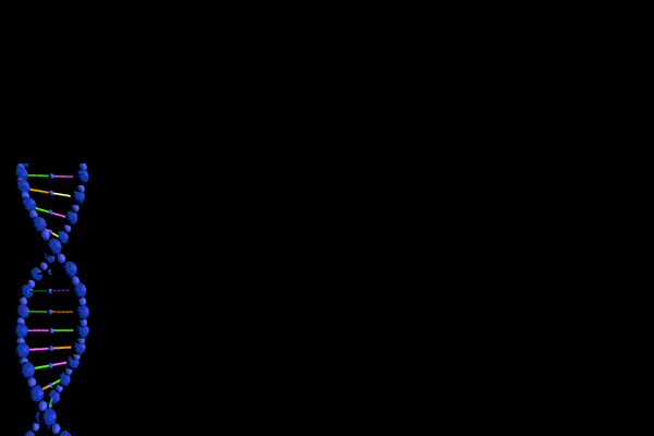 DNA