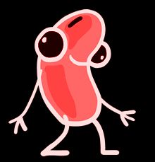 Ser