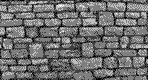 Muro