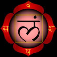 Muladhara