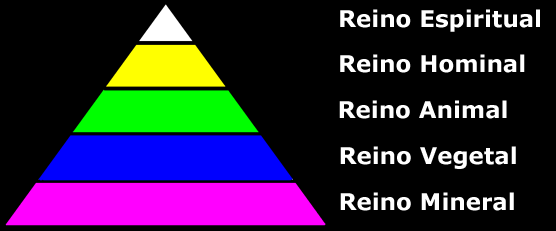 Reinos