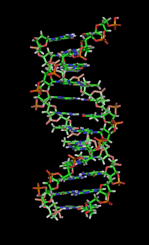 DNA