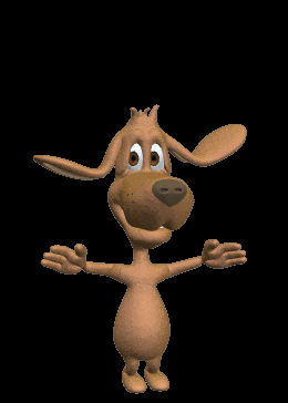 Burro