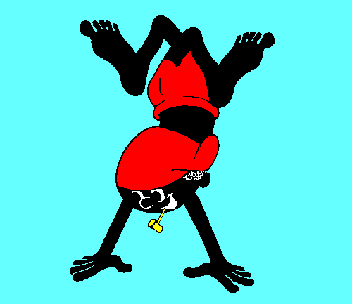 Saci