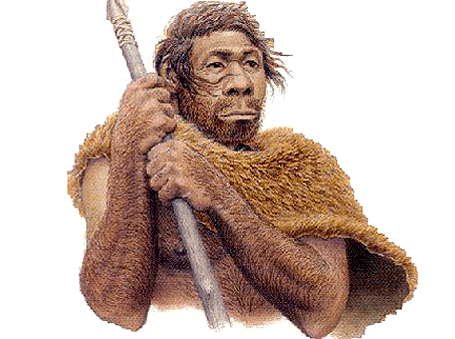 Homo neanderthalensis