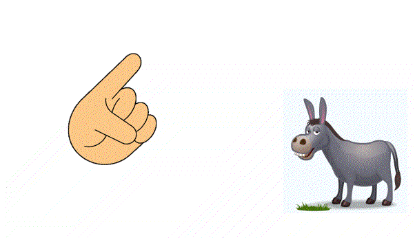 Burro
