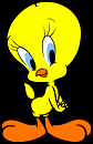 Piu Piu