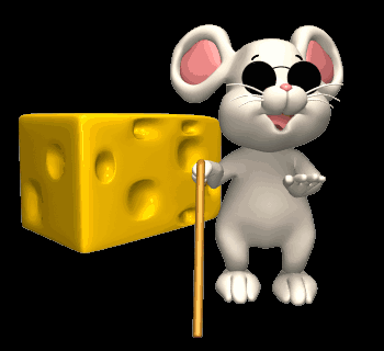 Rato Cego